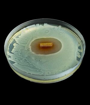 HydroShield™ Coating HydroShield™ Coating