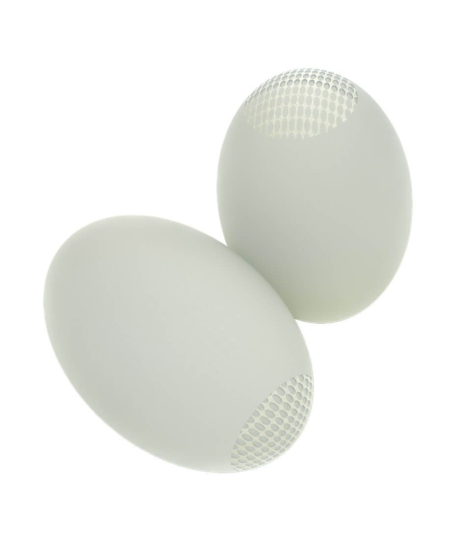 Testi10<sup>™</sup> Firm Option Testi10 Firm Option