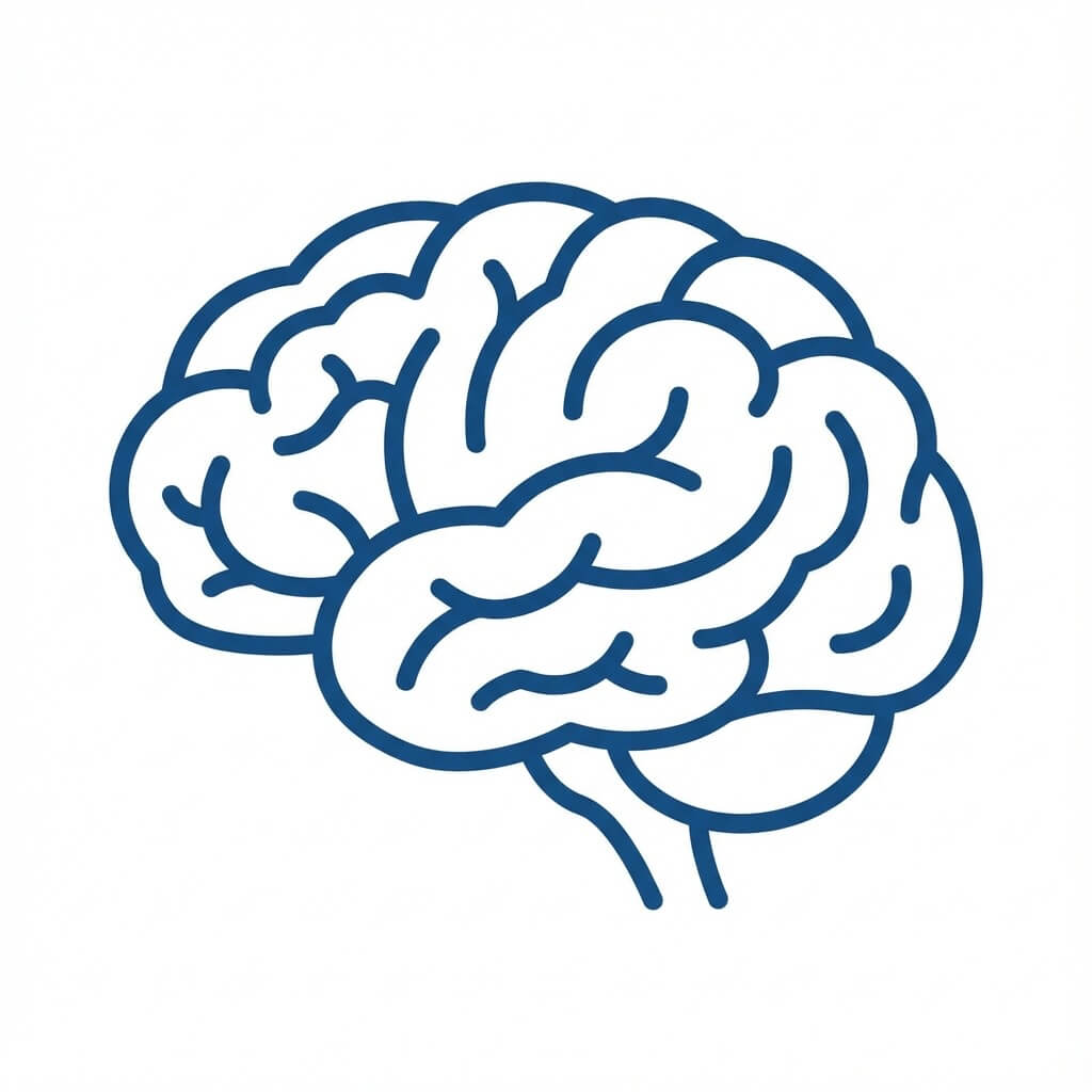 Causas psicológicas de la DE - Cerebro y nervios