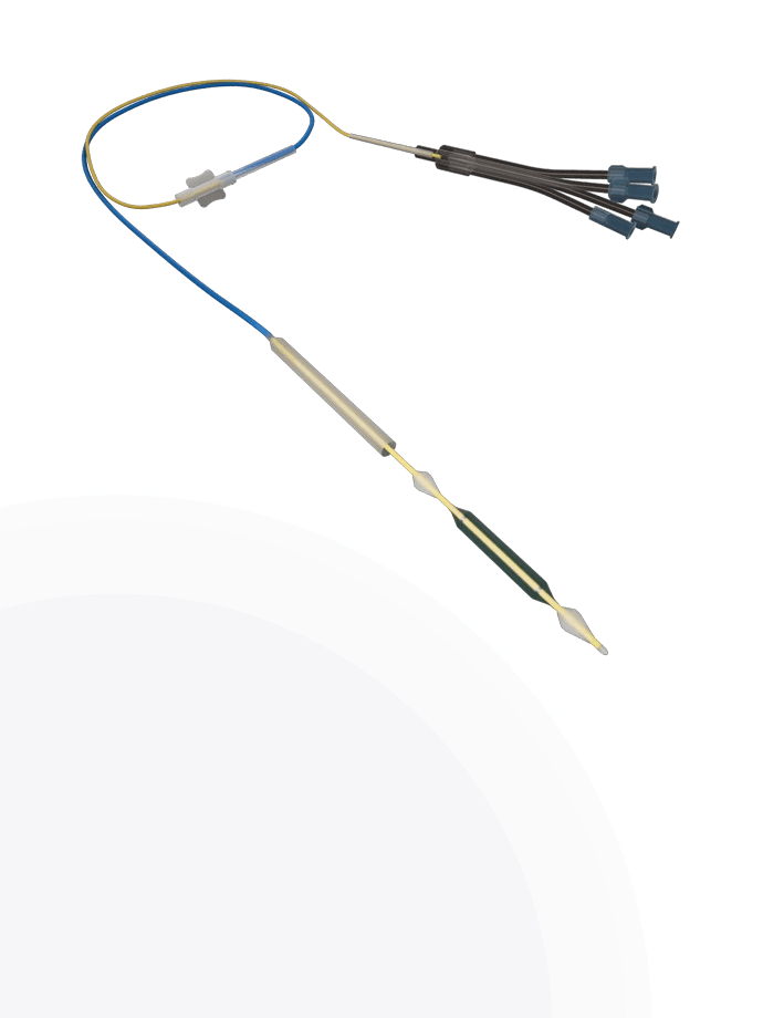 DilaFusion