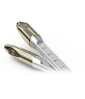 تصميم ذو طرفين