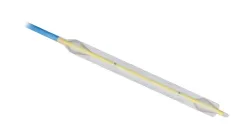Balloon Supporting Urethral Patency