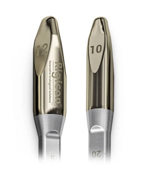 كل ما تحتاجه